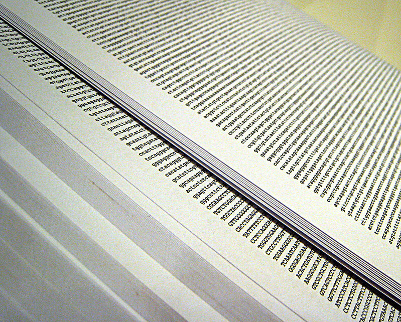 Image showing a printed copy of the human genome